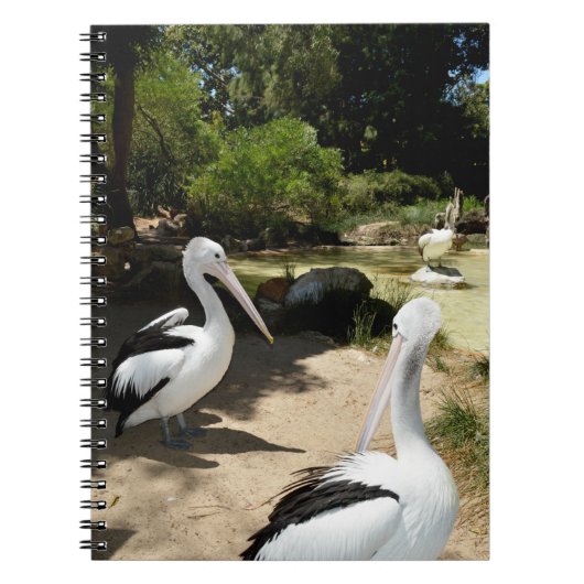 Sanctuaire pélican, Carnet (Devant)