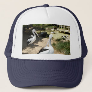 Sanctuaire pélican, Casquette de camions