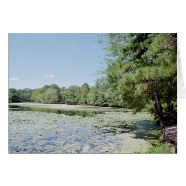 Sanctuarium (Voorkant Horizontaal)