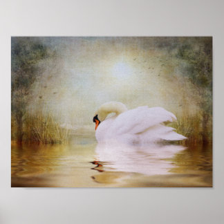 Sanctuarium binnen poster