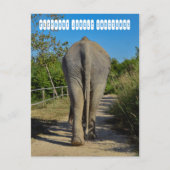 Sanctuary Elephant Oerwoud Briefkaart (Voorkant)