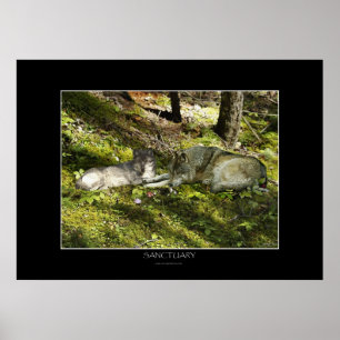 SANCTUIG Art Poster