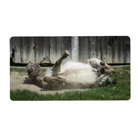 Sand Bathing Donkey Etiket (Voorkant)