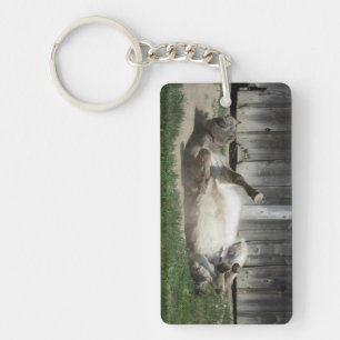 Sand Bathing Donkey Sleutelhanger