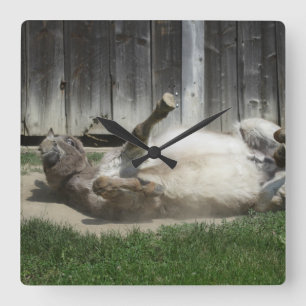 Sand Bathing Donkey Vierkante Klok