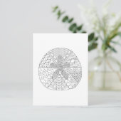 Sand Dollar Adult Kleurstof Briefkaart (Staand voorkant)