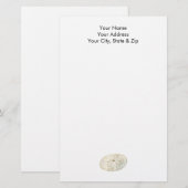 Sand Dollar Briefpapier (Voorkant / Achterkant)