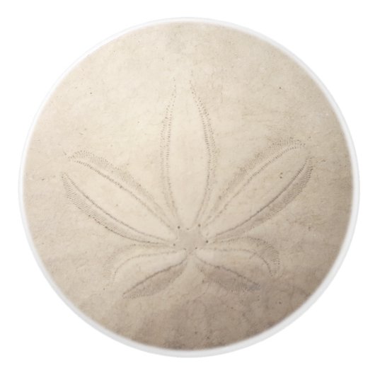 Sand Dollar Ceramic Pull Keramische Knop (Voorkant)