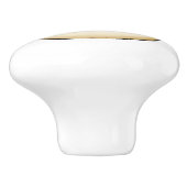 Sand Dollar Kusthuis Keramische Knop (Zijkant)