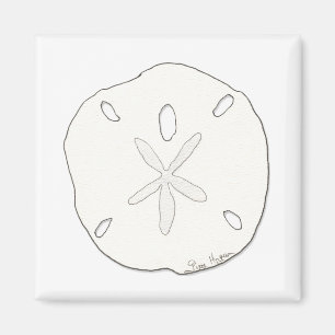 Sand Dollar Magnet Magneet