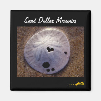 Sand Dollar Magnet Magneet