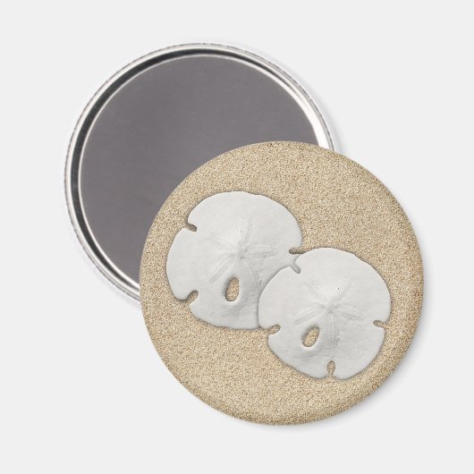 Sand Dollar Magnet Magneet (Voorkant / Achterkant)