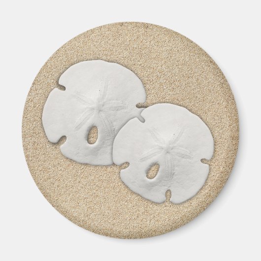 Sand Dollar Magnet Magneet (Voorkant)