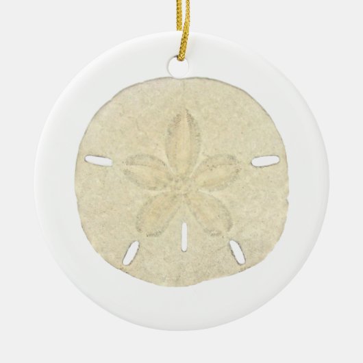 Sand Dollar Ornament (Voorkant)