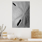 Sand Dollar Poster (Keuken)