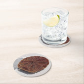 Sand Dollar Ronde Kartonnen Onderzetter (Insitu)