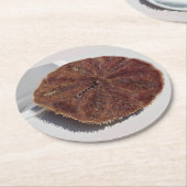 Sand Dollar Ronde Kartonnen Onderzetter (Gebogen)