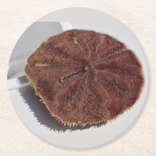 Sand Dollar Ronde Kartonnen Onderzetter (Voorkant)