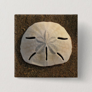 Sand Dollar Seashell Foto Button Aangepaste spelde
