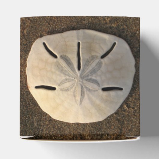 Sand Dollar Seashell Party Favor Custom Cadebox Bedankdoosjes (Bovenkant)
