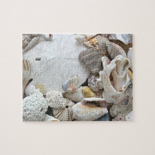 Sand Dollar Seashells Legpuzzel (Horizontaal)