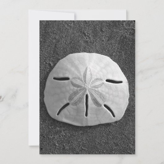 Sand Dollar Shell Beach Invitation (B&W Foto) Kaart (Voorkant)