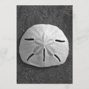 Sand Dollar Shell Beach Invitation (B&W Foto) Kaart