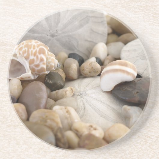 Sand Dollar Shells and Pebbles Zandsteen Onderzetter (Voorkant)