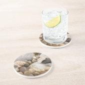 Sand Dollar Shells and Pebbles Zandsteen Onderzetter (Zijkant)