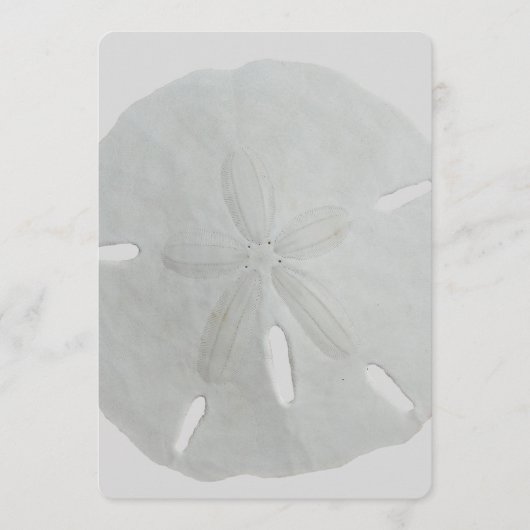 Sand Dollar Wedding Fan Program Paper Programma (Voorkant)
