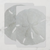 Sand Dollar Wedding Fan Program Paper Programma (Voorkant / Achterkant)