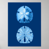 Sand Dollar Zee Life Print, Indigoblauw en wit Poster (Voorkant)