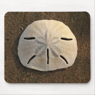 Sand Dollar Zee Shell Sand Beach Mousepad Muismat
