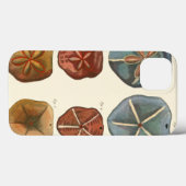 Sand Dollars-Pareltjes Case-Mate iPhone Case (Achterkant (horizontaal))
