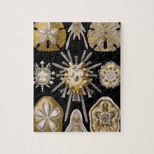  Sand Dollars Zee Urchins door Ernst Haeckel Legpuzzel (Verticaal)