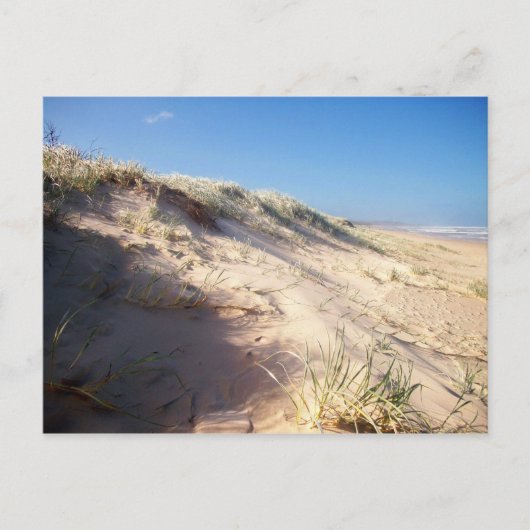 Sand dune briefkaart (Voorkant)