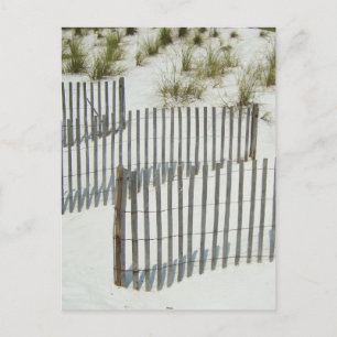 Sand Dune Fence Briefkaart