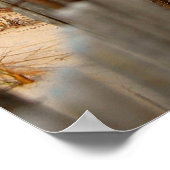 Sand Dune & Zee Fence Poster (Hoek)