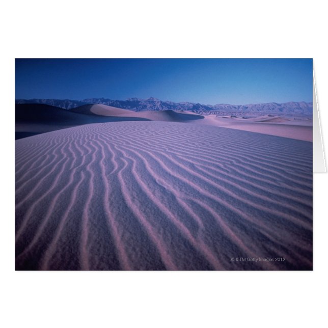 Sand Dunes in woestijn (Voorkant Horizontaal)