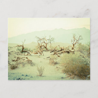 Sand Dunes of Death Valley Briefkaart