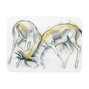 Sand Gazelles 2009 5 Magneet