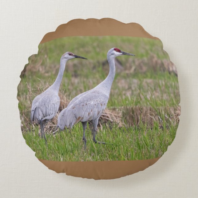 Sand Hill Cranes Pillow Rond Kussen (Voorkant)