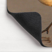 Sand Piper Muismat (Hoek)