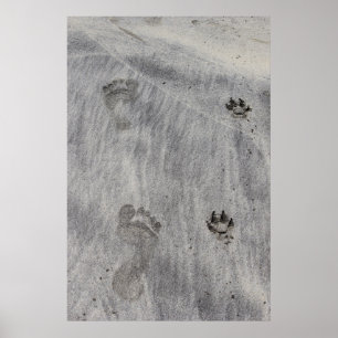 Sand schrijfliefde poster