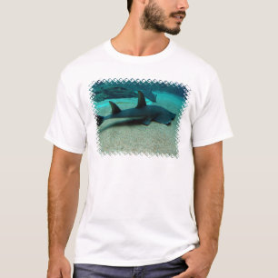 Sand Shark Mannen T-Shirt
