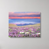 Sand Verbena & Dune Primrose Wildbloemen op zonson Canvas Afdruk (Voorkant)