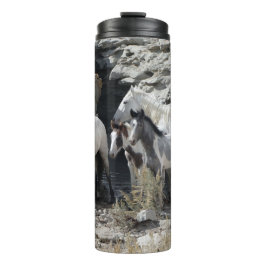 Sand Wash Basin Rock Cut Watergat Thermosbeker