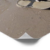 Sandaal op het strand poster (Hoek)