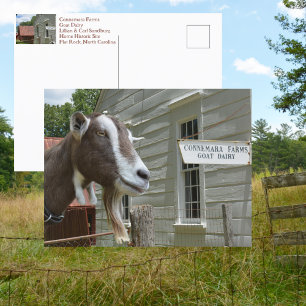 Sandburg Connemara Boerderijen Geitenzuivelfotogra Briefkaart