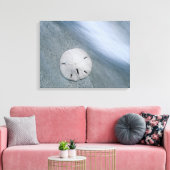 Sanddollar op strand | Sanibel Island, Florida Canvas Afdruk (Insitu (Woonkamer))